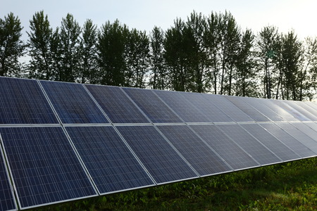 Solar panels in the field