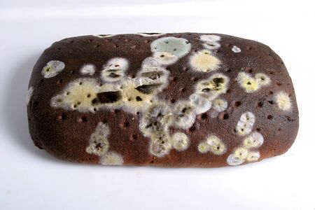 Moulded bread