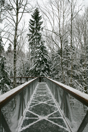 Winter pathの写真素材