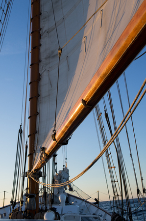 Sailing sailsの写真素材