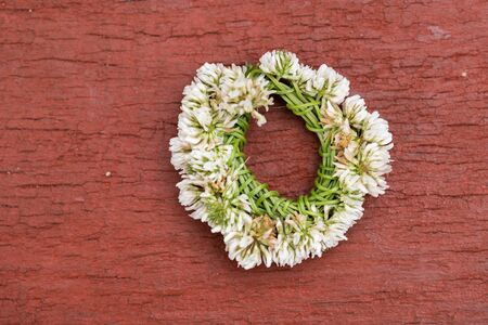 Flower crown