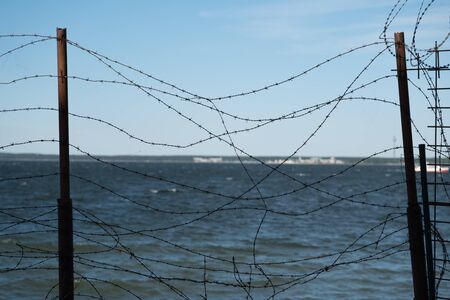 Prickly fence