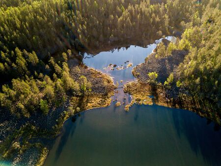 Lakes in forest
