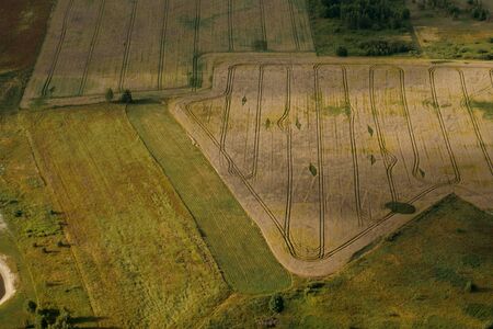 Agriculture field from above