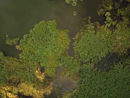 Aerial view of pond
