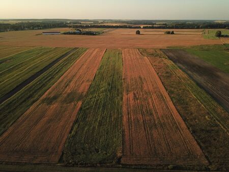 Agriculture field from aboveの写真素材