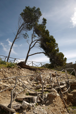 Old fence on the mountainの写真素材