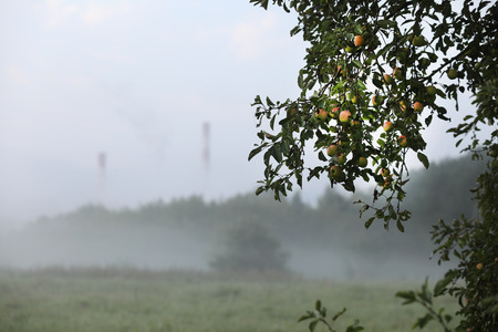 City view of misty sunriseの写真素材