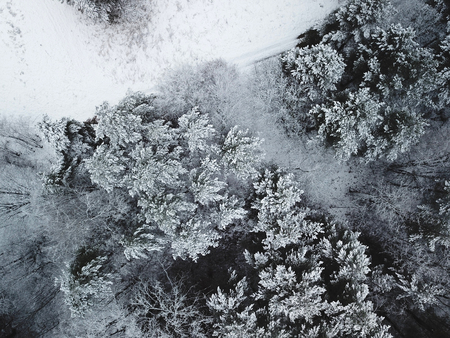 Top view of snow covered trees in the winter