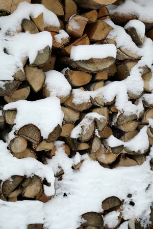 Chopped stock of firewood under snowの写真素材