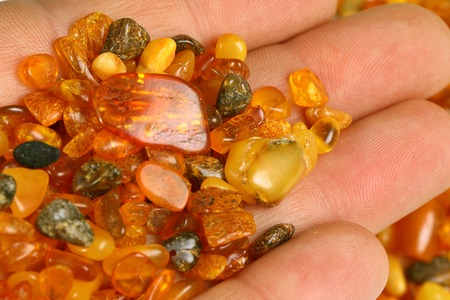 Baltic amber stones on palmの写真素材