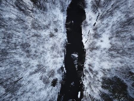 Top view of river in the forestの写真素材