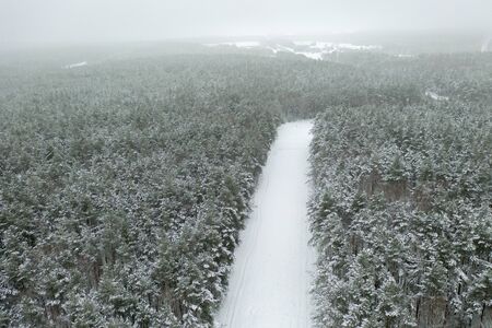 Top view of forestの写真素材