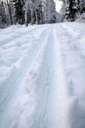 Skis traces in the snowの写真素材