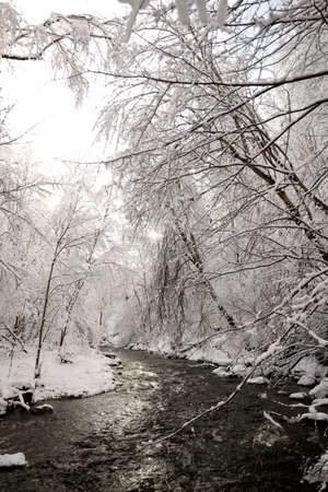 River landscape in winterの写真素材