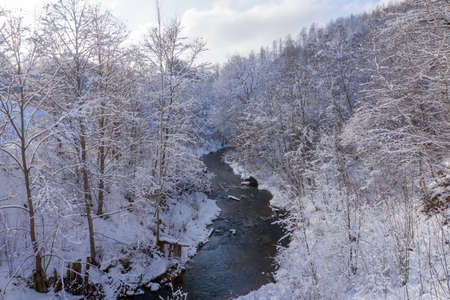 Aerial view of riverの写真素材