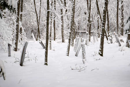 Young trees protectionの写真素材