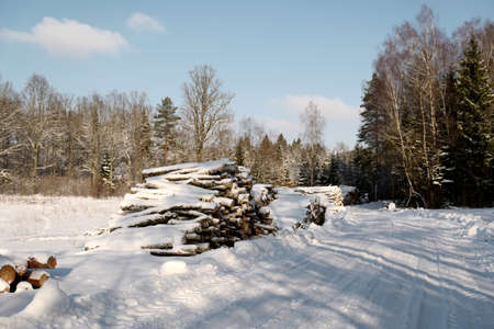 Snow covered wood logs pile in winter forestの写真素材