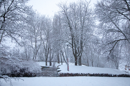 Stairs in the snowy parkの写真素材