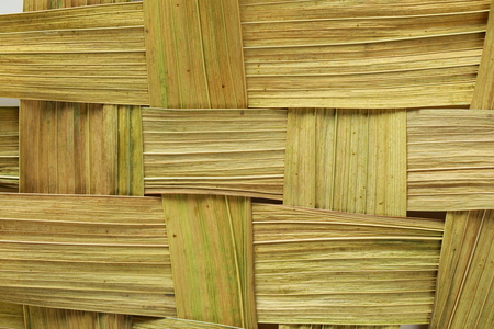 Dry leaves wall