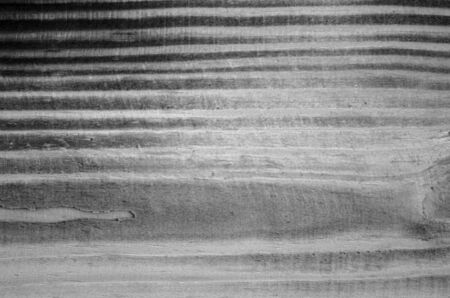 Old wood background sepia in black and white macroの写真素材