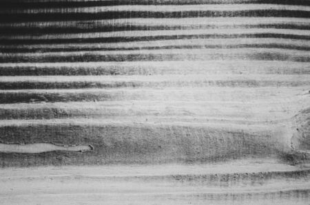 closeup wood texture in black and white filterの写真素材