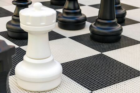 a rook piece in anticipation of the move by porting black pieces. game of chess. winner conceptの写真素材