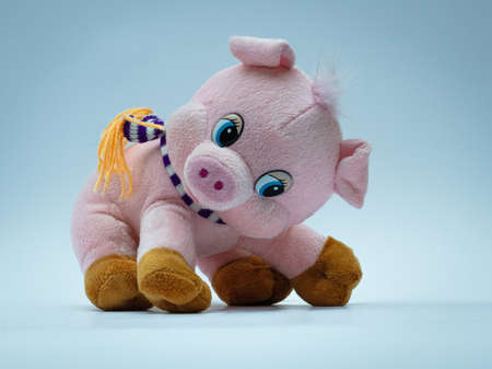 Soft toy - pig, on a blue backgroundの写真素材