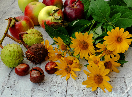 Autumn still life with apples, flowers and chestnutsの写真素材