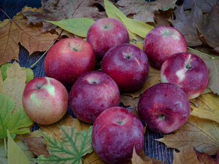 Ripe appetizing apples on fallen autumn leaves