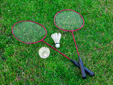 Two rackets and two shuttlecocks on green grass