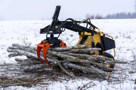 Side view to mini skid steer. Mini loader is taken full grapple of wodden logs. Winter time around.の写真素材