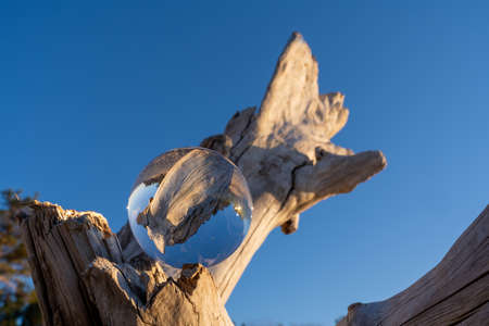 The crystal ball shows the same piece of wood flipping upside down in the air.. A horned wooden trunk washed out of the sea, on which a glass ball is placed on a clear blue sky.の写真素材