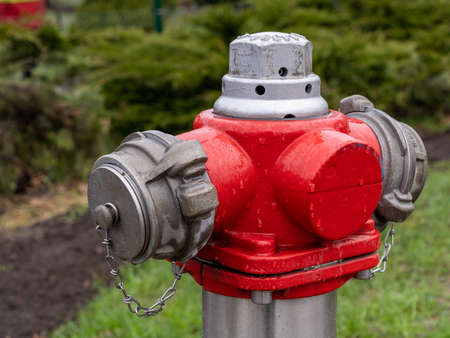 Close-up of a fire hydrant with a background  existing trees and shrubs.の写真素材