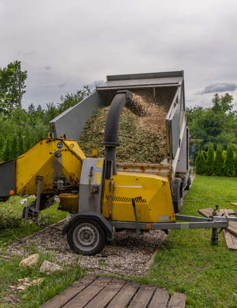 a branch chipper at the arborist's dump truck performing chip branching

freshly sawed wood chips with a wood chipper blowing wood chips in a dump truckの写真素材