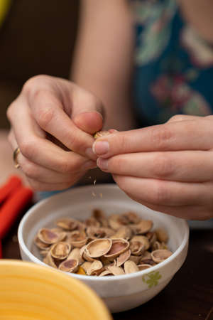 pistachios nuts in women's hand above the cup, pistachio shells visible in the cup.の写真素材