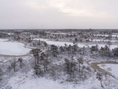 Snowy view over the swamp to the horizon with snowy clouds from the tower or drone. In the bog you can see small pines, alternating with small lakes of water.の写真素材