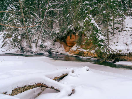 The withered tree trunk that has fallen into the Rauna River is malted and covered with a layer of snow. On the opposite bank of the river you can see a sandstone rock and a coniferous forest.の写真素材