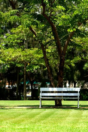 A Chair in a shadow of a tree.の写真素材
