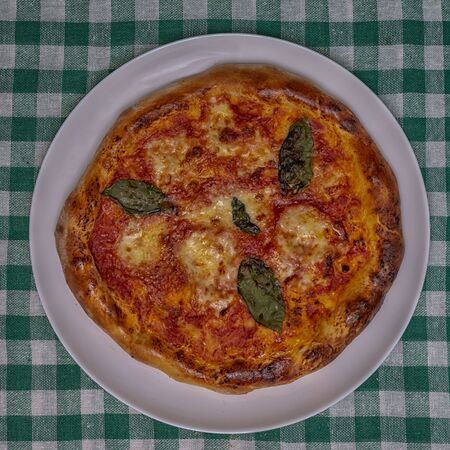 Margherita Pizza Mozzarella basil oilの写真素材