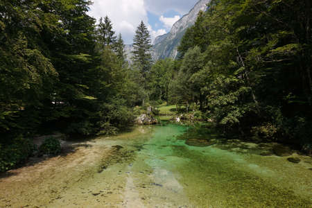 Beautiful reflection on the green water of a Slovenian river, Slovenia 2020の写真素材