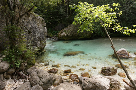 Small natural pool in the Soca River Stream, Slovenia 2020の写真素材