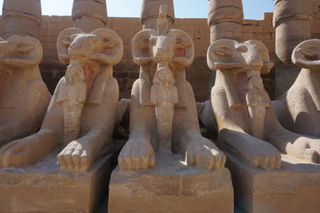 Close-up on ram-headed sphinxes at Karnak Temple, Luxor, Egyptの写真素材
