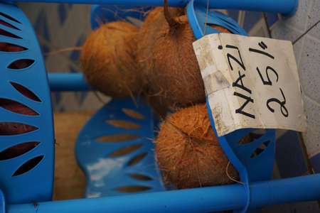 Fresh coconuts offered in swahili language in Mombasa, Kenya