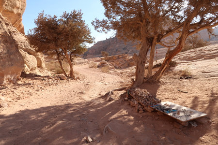 Bedouins selling different things on the hiking trail from little Petra to the Monastery, Petra, Jordan 2021の写真素材
