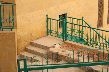 Cat having a rest in the courtyard surrounded by green turquoise railings in As-Salt, Salt, Jordan 2021の写真素材
