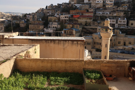 view from a terrace with a little vegetable garden onto As-Salt-, Salt and one of its Minarets, Jordan 2021の写真素材