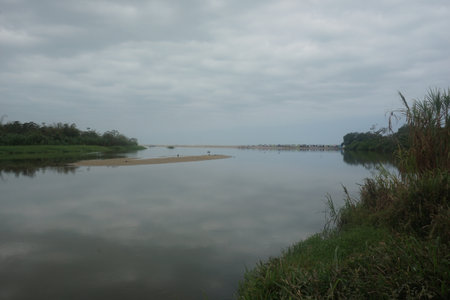 Palomino River, Rio Palomino flowing into the Caribbean Sea, Palomino, Colombia 2020の写真素材