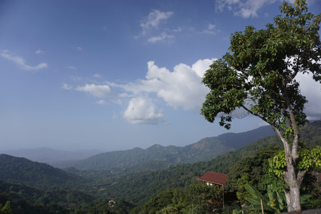 Beautiful view point close to Minca, Colombia 2020の写真素材