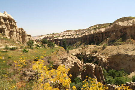 View into a gorge of the Pigeon Valley, Gの写真素材